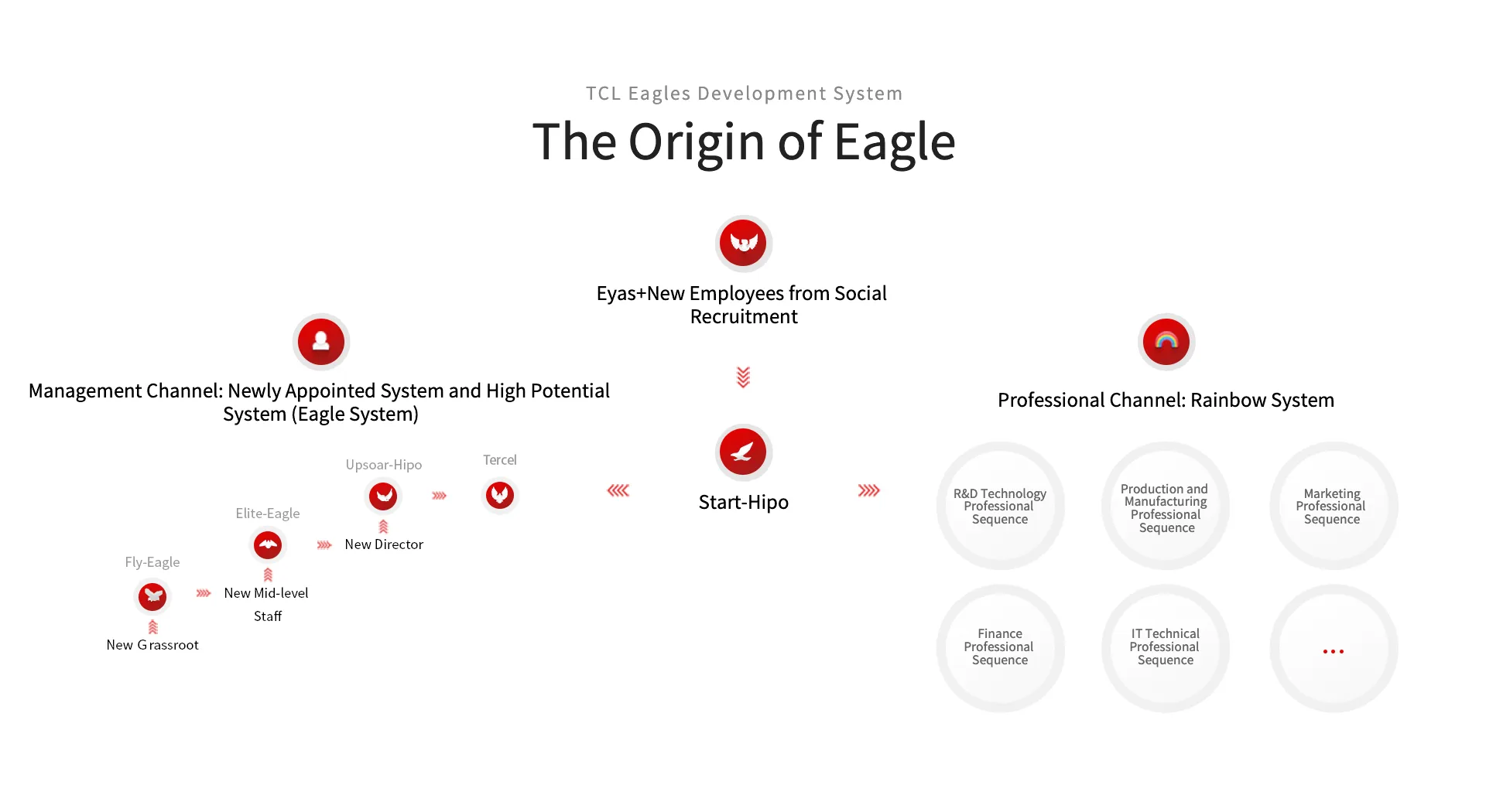 TCL Eagles Development System