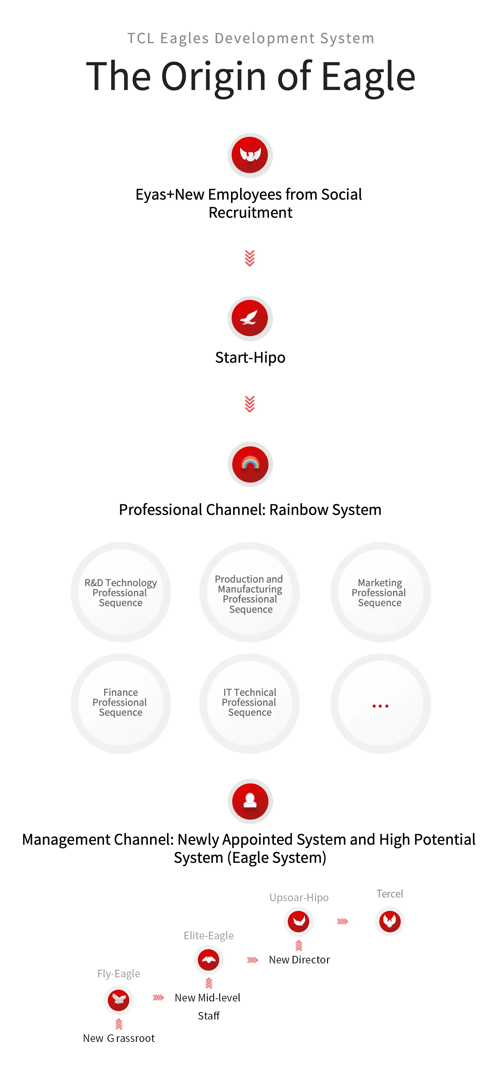 TCL Eagles Development System