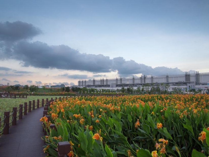 TCL CSOT Constructs Artificial Wetland Park